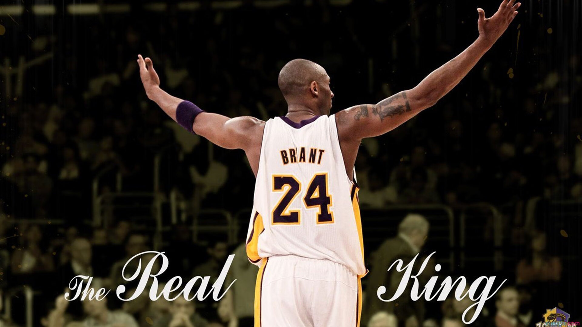 开云体育官网-《ApexLegends》极夜风暴地图大改版,战术无限创造!